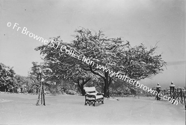 RATHFARNHAM CASTLE GROUNDS IN THE SNOW